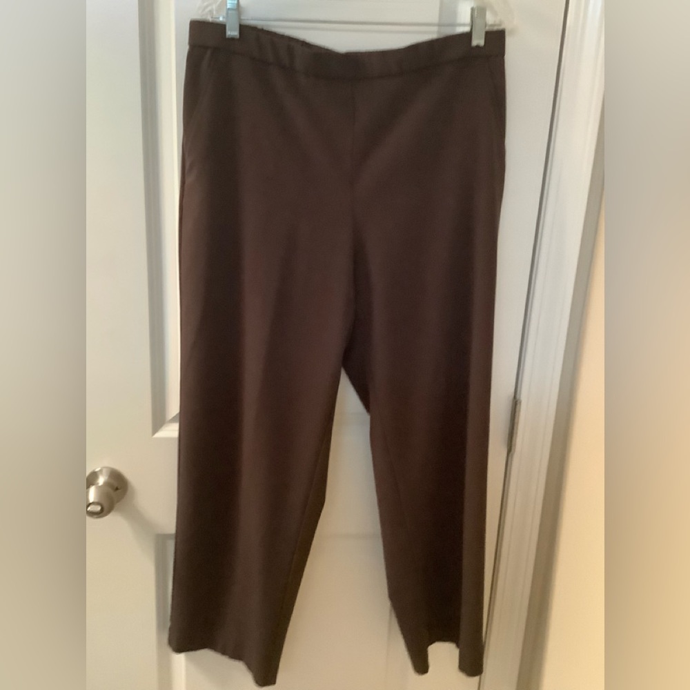 SAGHARBOR pants, elastic waist, 2 front pockets, inseam 29” Chocolate color, 16